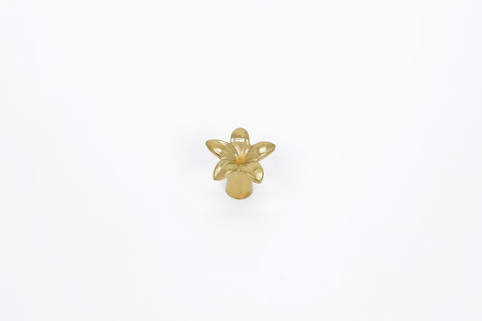 Petal Bloom Brass Knob – Floral-Inspired Cabinet Knob in Solid Brass | The Bespoke Crafts