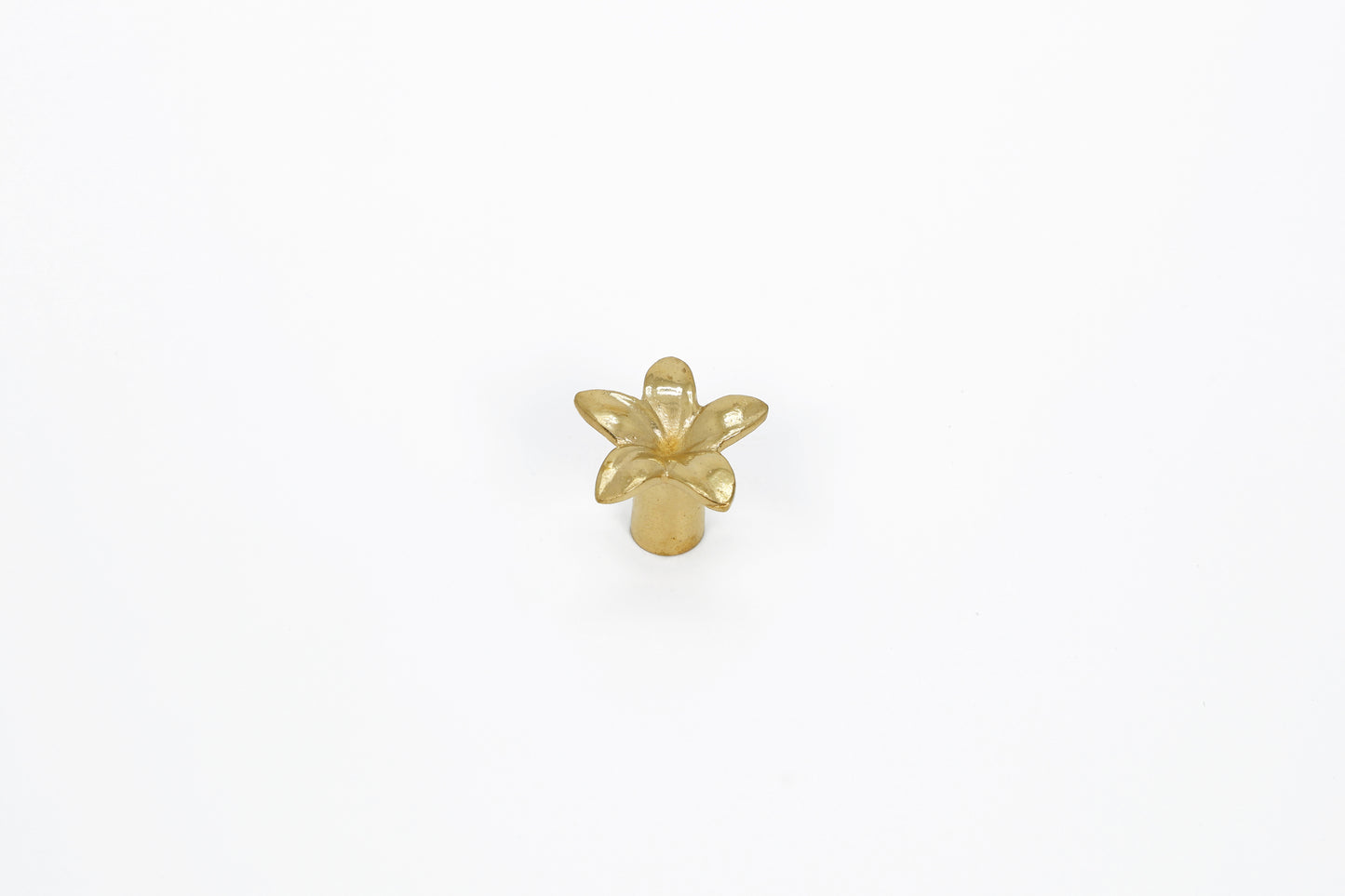 Petal Bloom Brass Knob – Floral-Inspired Cabinet Knob in Solid Brass | The Bespoke Crafts